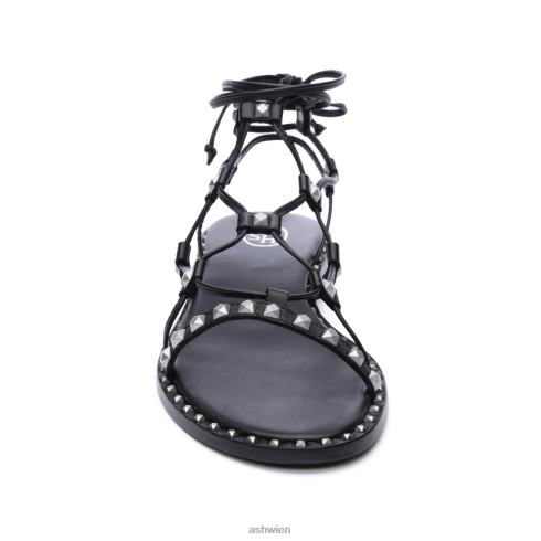 Paloma Gladiator-Sandale Frauen Schwarz HH4JJ82 ASH Sandalen