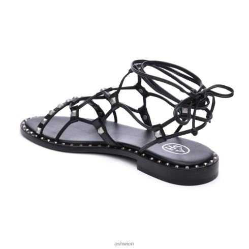 Paloma Gladiator-Sandale Frauen Schwarz HH4JJ82 ASH Sandalen