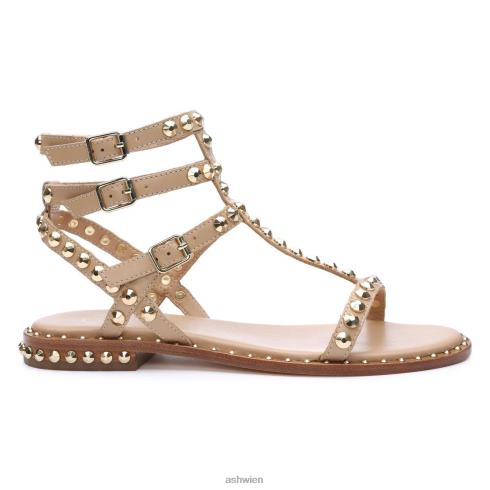 Play flache Sandale mit Nieten Frauen Haut/Gold HH4JJ56 ASH Sandalen