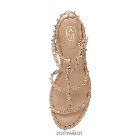 Jen-Sandale mit Blockabsatz und Nieten Frauen Haut HH4JJ38 ASH Sandalen