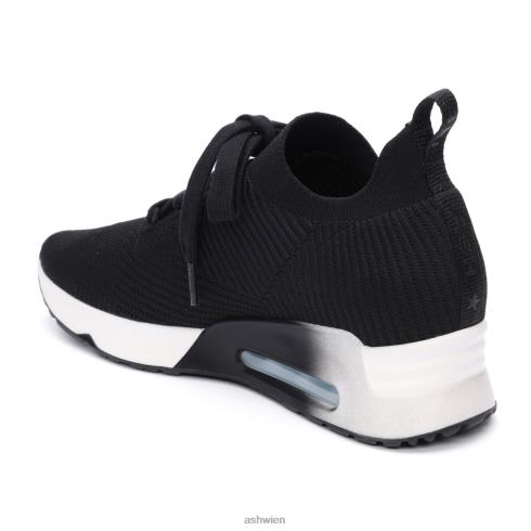 Larsen-Spitzen-Mesh-Sneaker Frauen Schwarz HH4JJ18 ASH Turnschuhe